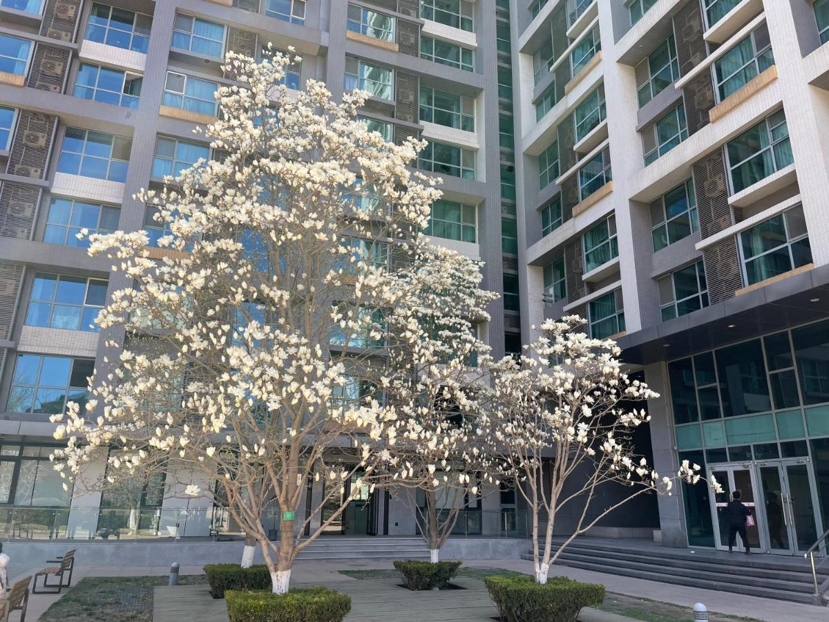 Beijing Elegant Seasons Park Apartment מראה חיצוני תמונה